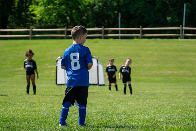 由和国家建 由和国家建