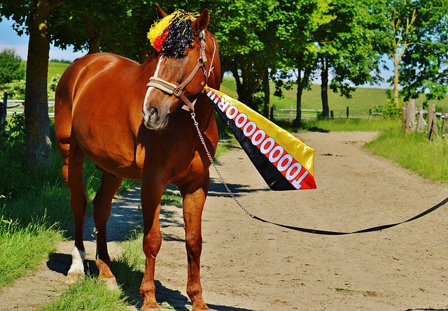 閱讀消息後 閱讀消息後