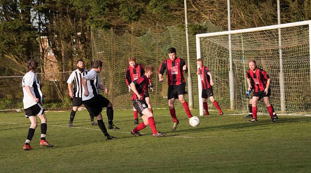 申京的進步 申京的進步