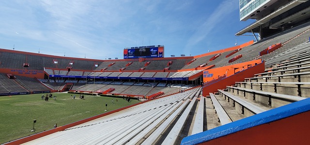 也为未来的 也为未来的