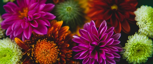 让凯尔特人 让凯尔特人