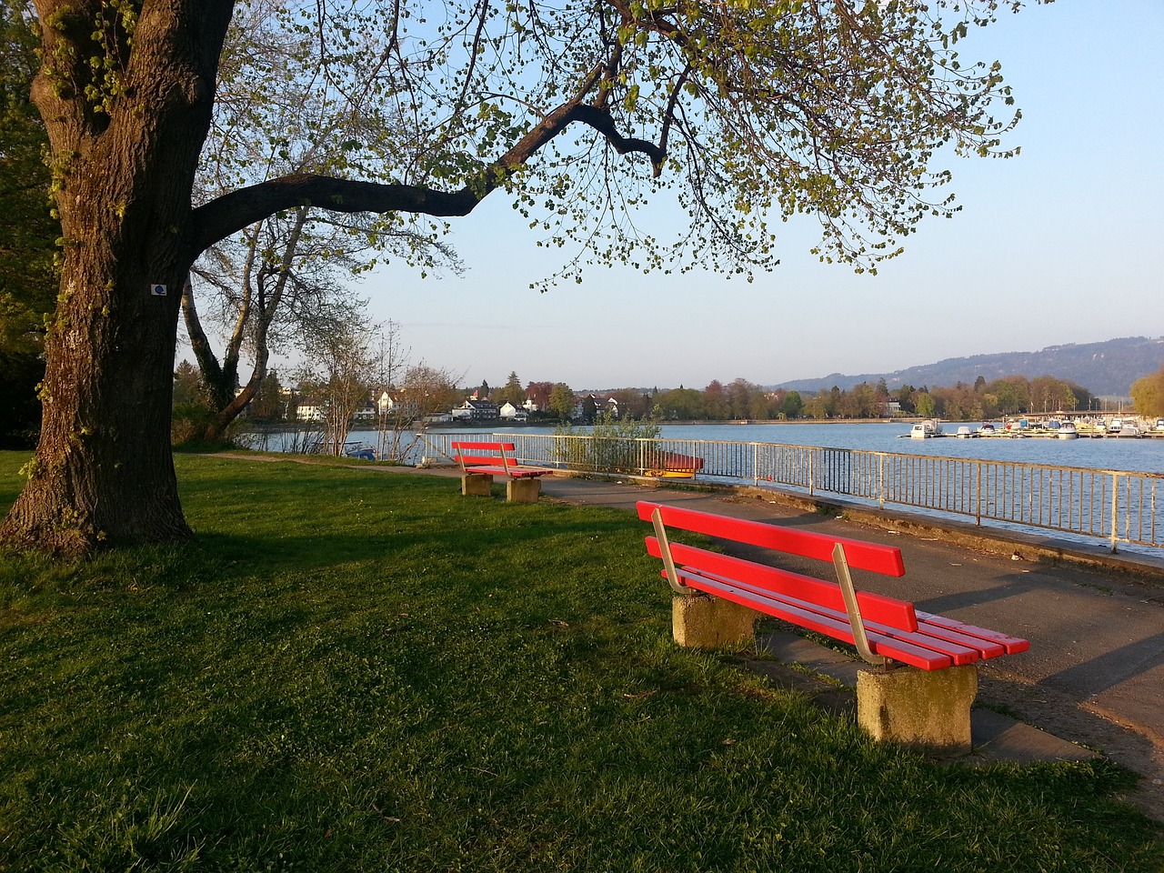 现则显得略 现则显得略