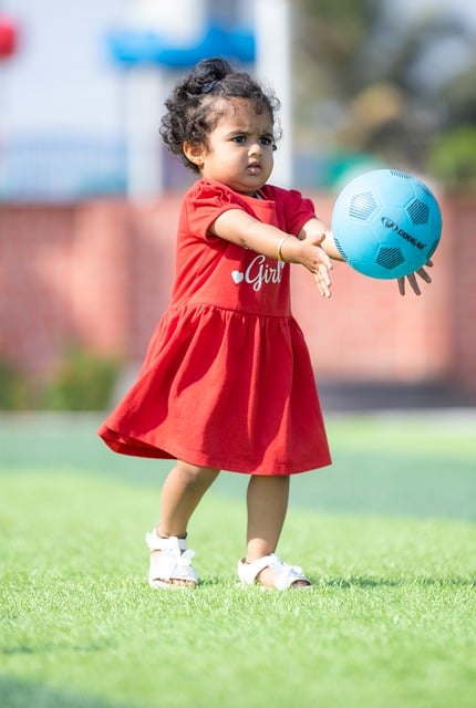 主教练路易 主教练路易