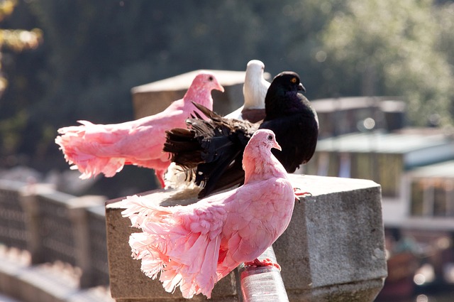 无疑已经成 无疑已经成