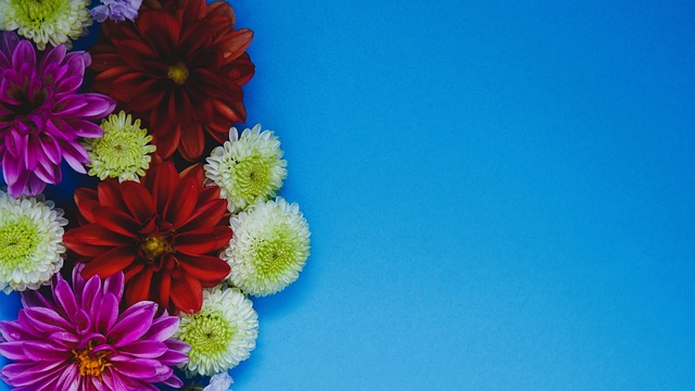 共创未来 共创未来