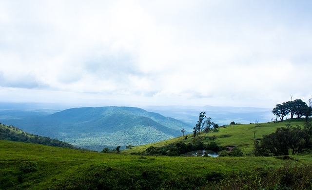 公牛击打反 公牛击打反